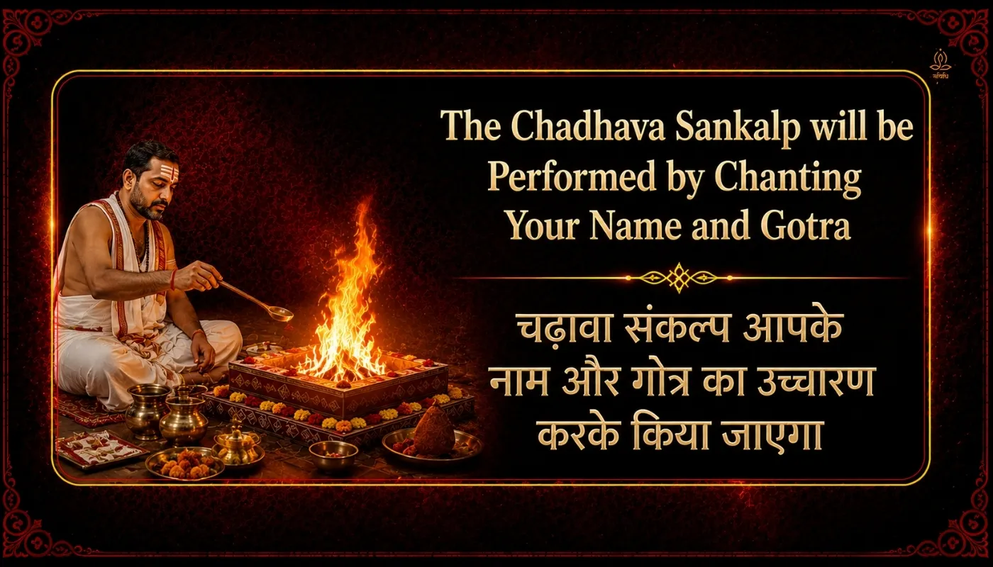 Saturday Special: Shri Balaji Mahachadhava  for Protection from Black Magic, Tantra Badha & Negative Energies thumbnail 3
