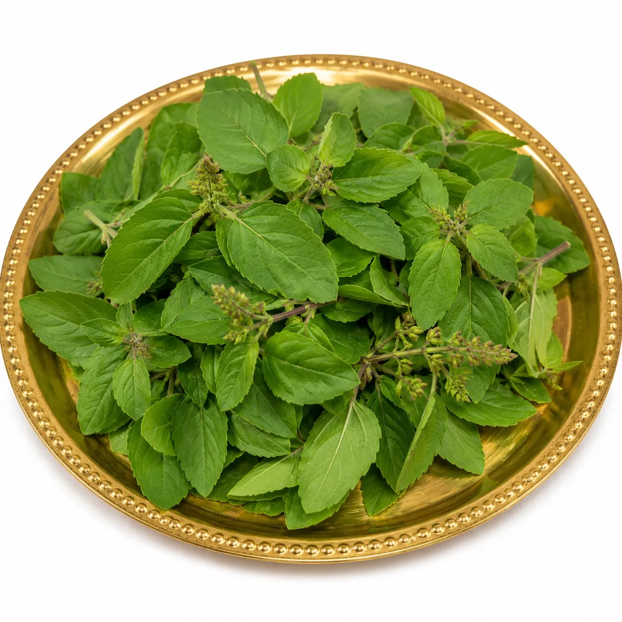 Tulsi Patra