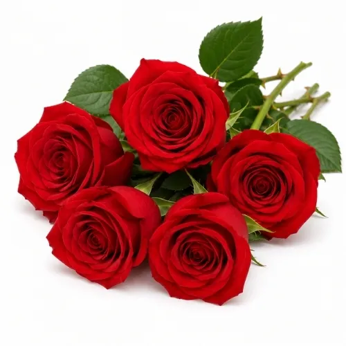 Red Flower