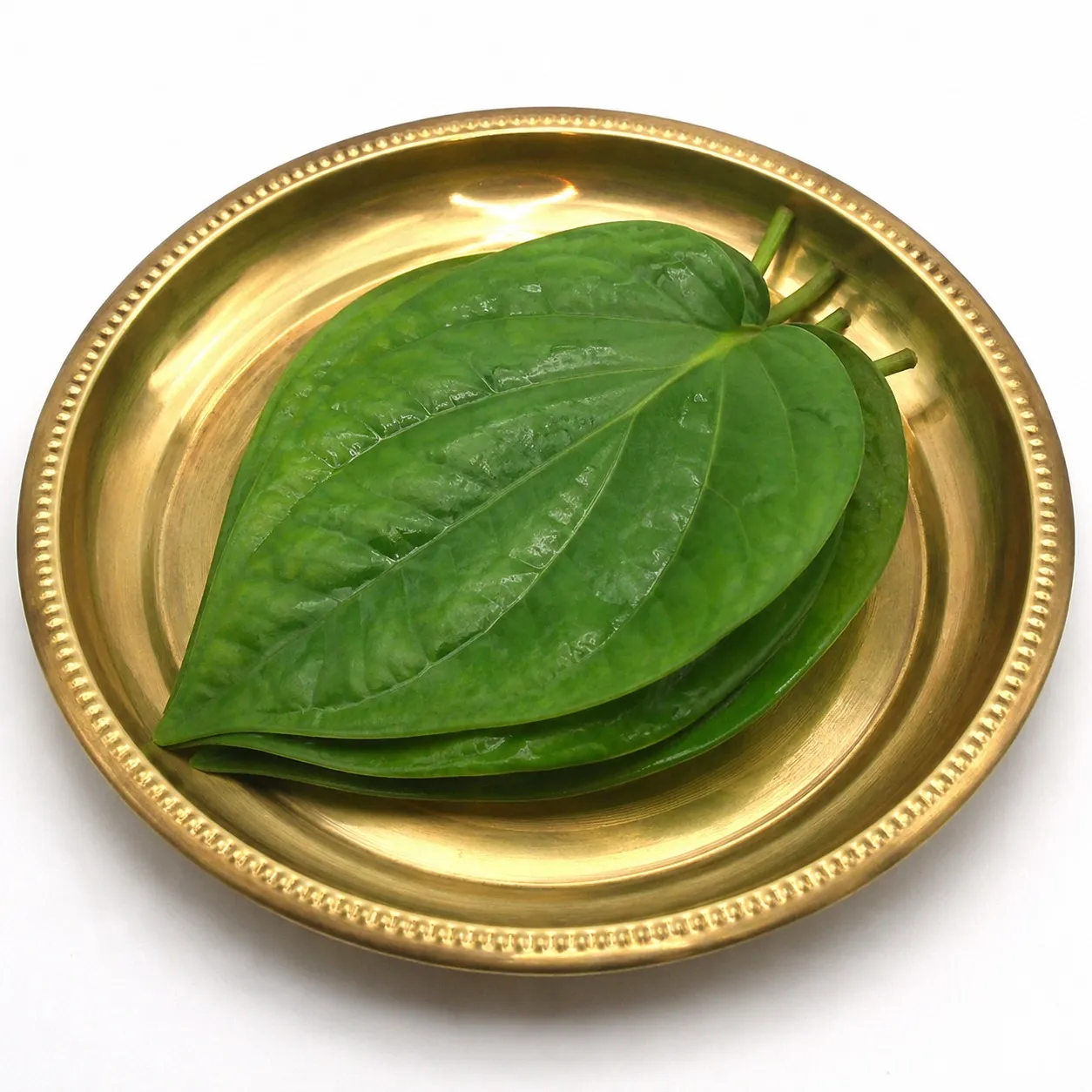 Betel Leaf