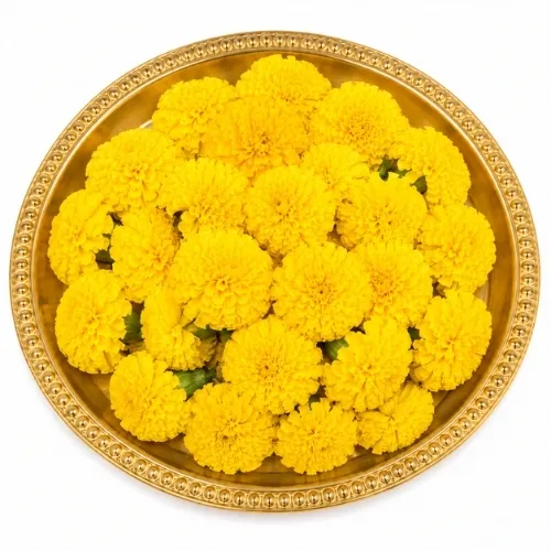 Yellow Flowers