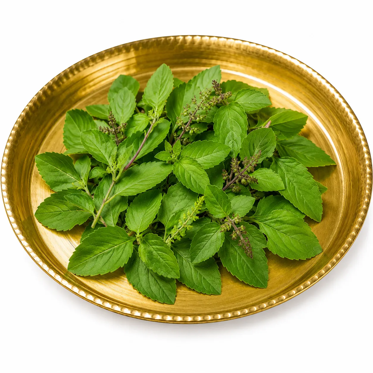 Tulsi Leaves