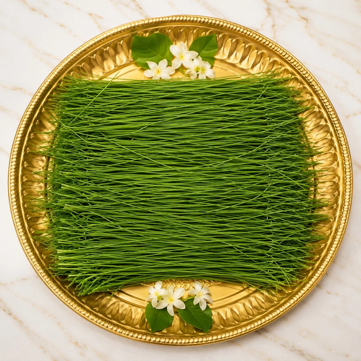 Durva Grass