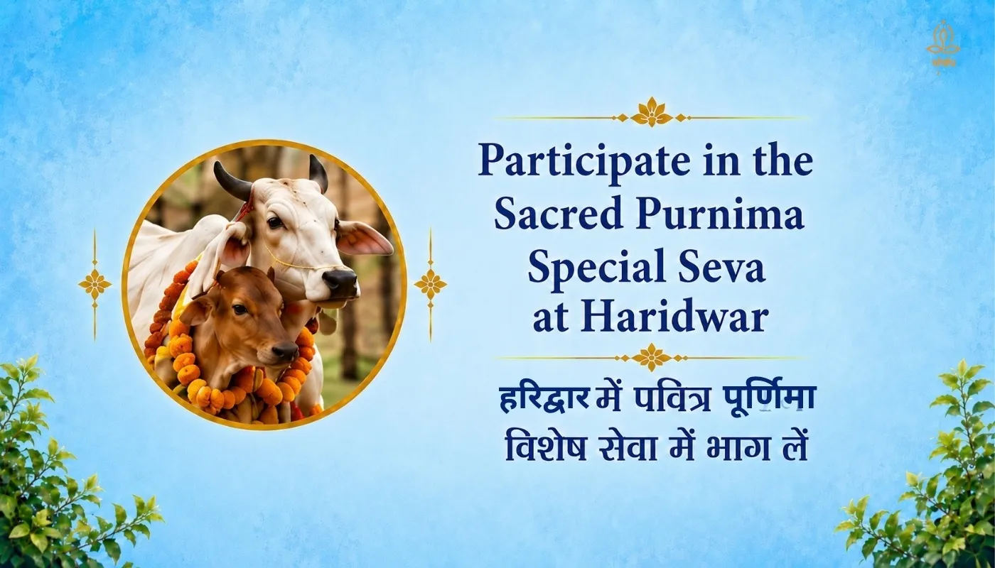 Purnima Special Seva - Gau Seva, Deep Daan, Vastra Daan & Brahmin Bhojan thumbnail 4