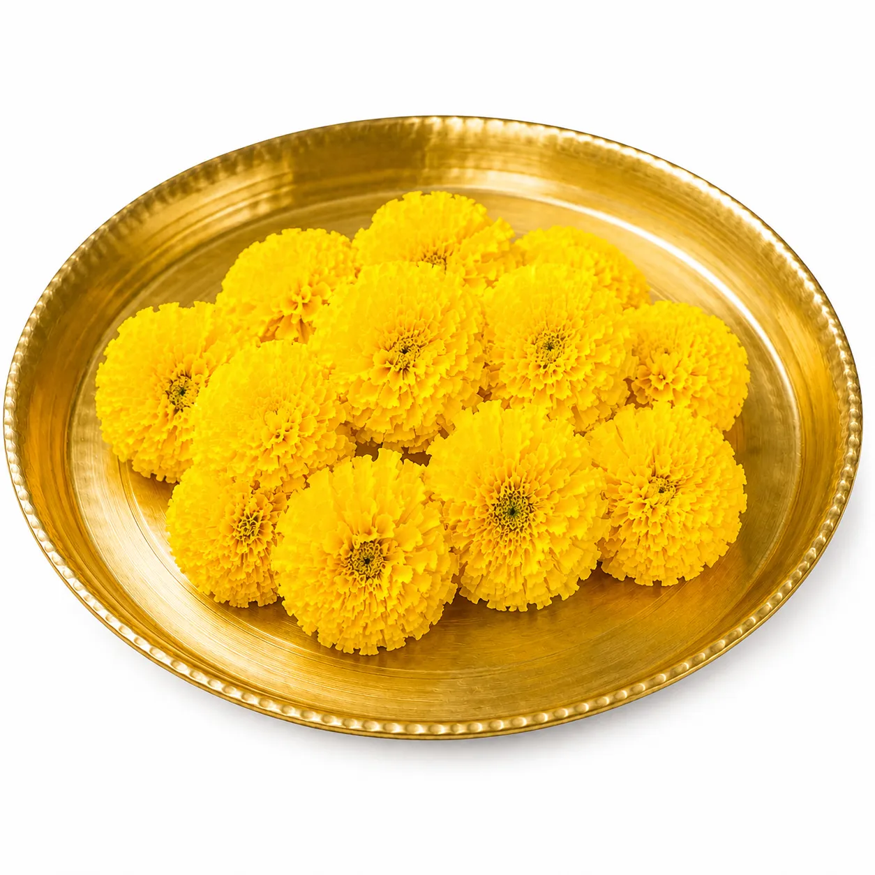 Yellow Flowers